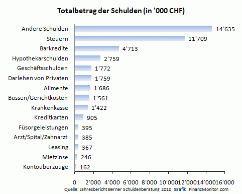 Schuldenarten und deren Höhe